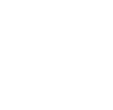 Developed with Next.js